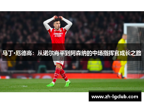 马丁·厄德高:从诺尔肖平到阿森纳的中场指挥官成长之路 马丁·厄德高:从诺尔肖平到阿森纳的中场指挥官成长之路