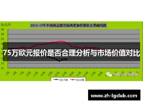 75万欧元报价是否合理分析与市场价值对比