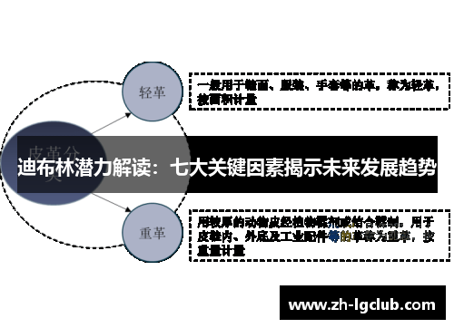 迪布林潜力解读：七大关键因素揭示未来发展趋势